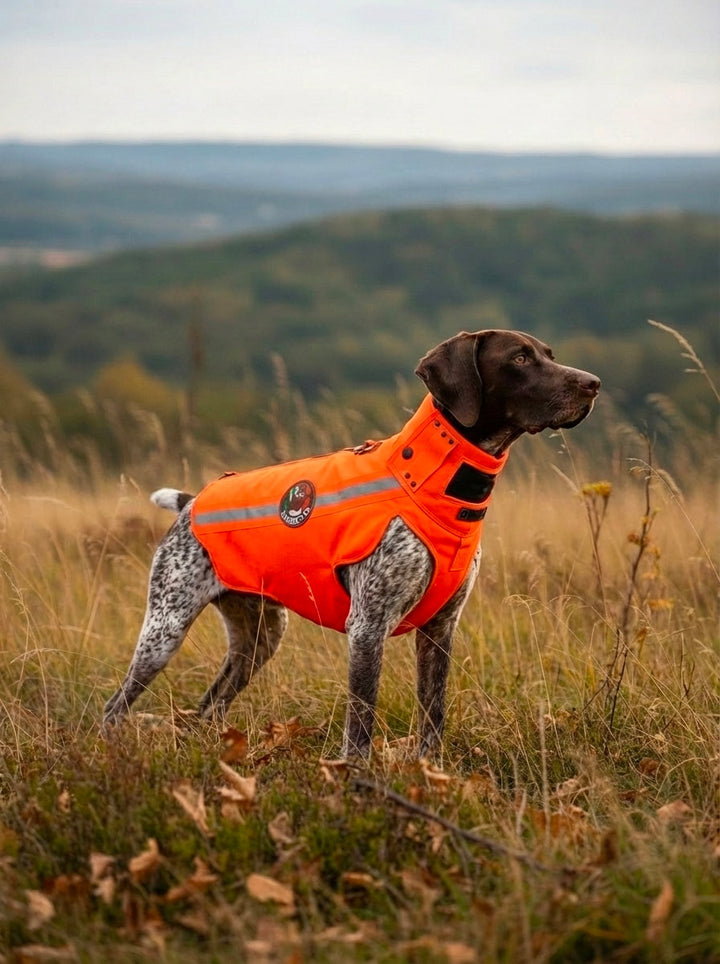 Giubbetti protettivi da forasacchi per cani da ferma