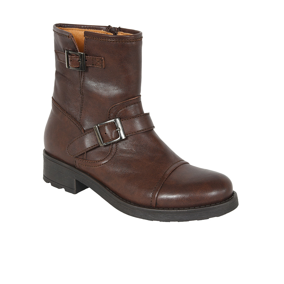 Art. 501 testa di moro